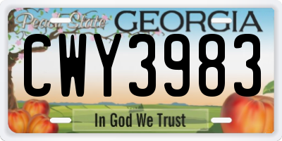 GA license plate CWY3983
