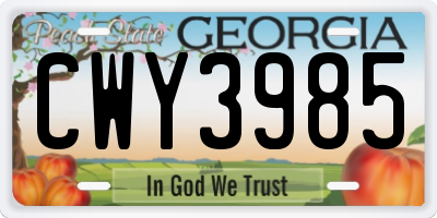 GA license plate CWY3985