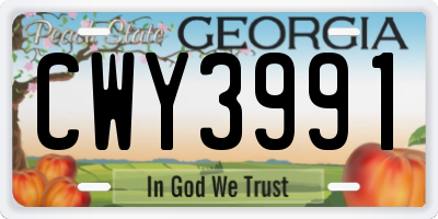 GA license plate CWY3991
