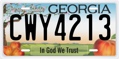 GA license plate CWY4213
