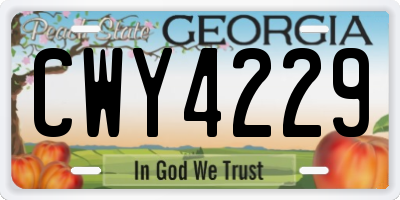 GA license plate CWY4229
