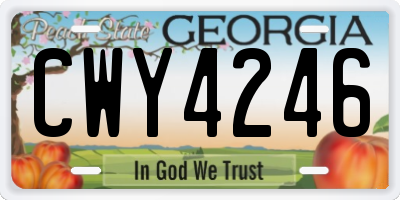 GA license plate CWY4246