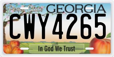 GA license plate CWY4265