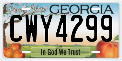 GA license plate CWY4299
