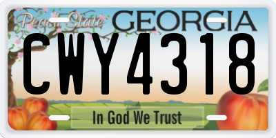 GA license plate CWY4318