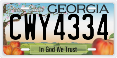 GA license plate CWY4334