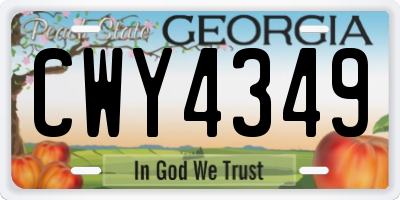 GA license plate CWY4349