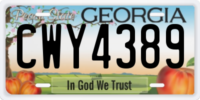 GA license plate CWY4389