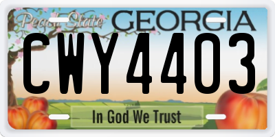GA license plate CWY4403