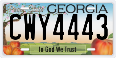 GA license plate CWY4443