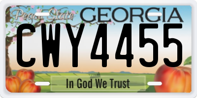 GA license plate CWY4455