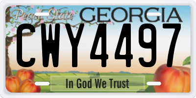 GA license plate CWY4497