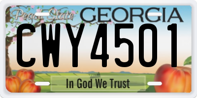 GA license plate CWY4501