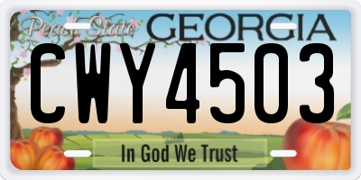 GA license plate CWY4503