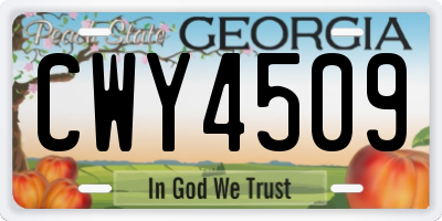 GA license plate CWY4509