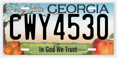 GA license plate CWY4530