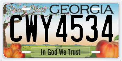 GA license plate CWY4534