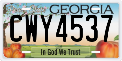 GA license plate CWY4537
