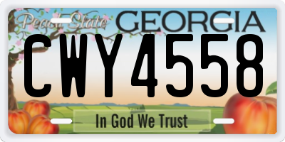 GA license plate CWY4558