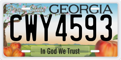 GA license plate CWY4593