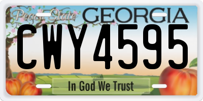 GA license plate CWY4595
