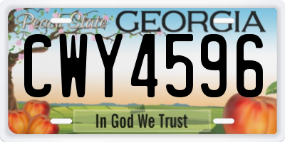 GA license plate CWY4596