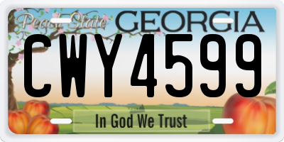 GA license plate CWY4599