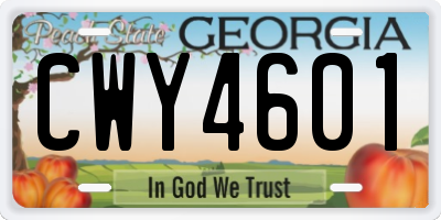 GA license plate CWY4601