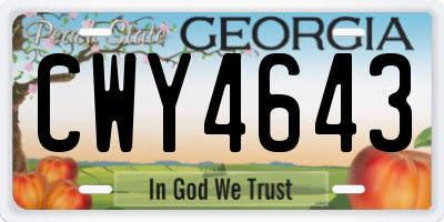 GA license plate CWY4643
