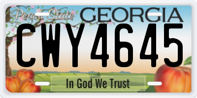 GA license plate CWY4645