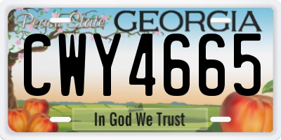 GA license plate CWY4665