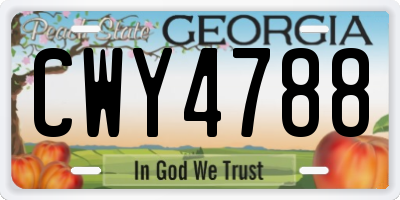 GA license plate CWY4788