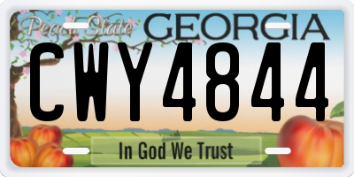 GA license plate CWY4844