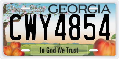 GA license plate CWY4854