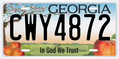 GA license plate CWY4872