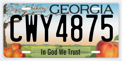 GA license plate CWY4875