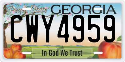 GA license plate CWY4959