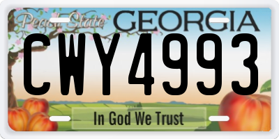 GA license plate CWY4993