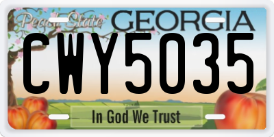 GA license plate CWY5035