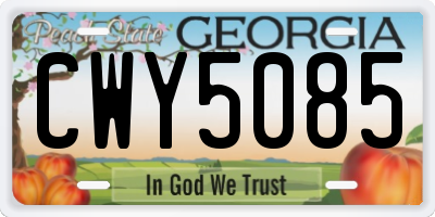 GA license plate CWY5085