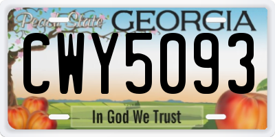 GA license plate CWY5093