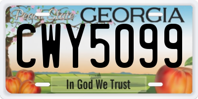 GA license plate CWY5099