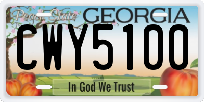 GA license plate CWY5100