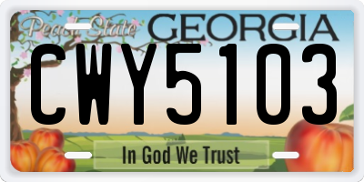 GA license plate CWY5103