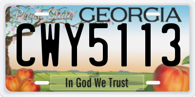 GA license plate CWY5113