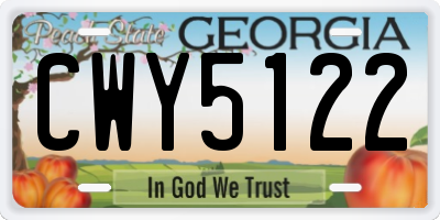 GA license plate CWY5122