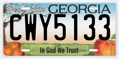 GA license plate CWY5133