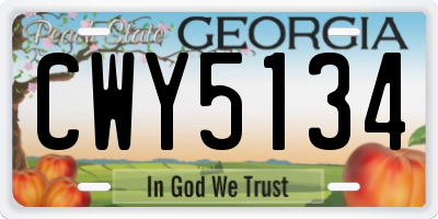 GA license plate CWY5134