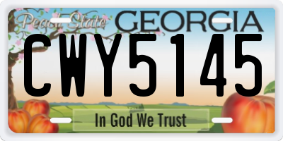 GA license plate CWY5145