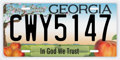 GA license plate CWY5147